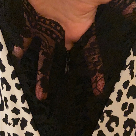 EXPRESS - Picture 5 of 8